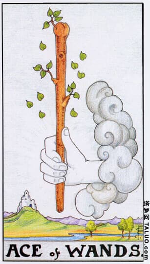 Minor Arcana — Ace of Wands